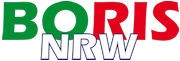 BORIS NG Logo180