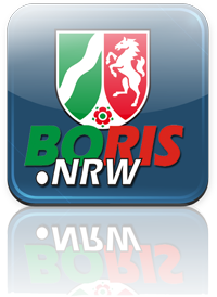 BORISplus App Logo mit Farbverlauf